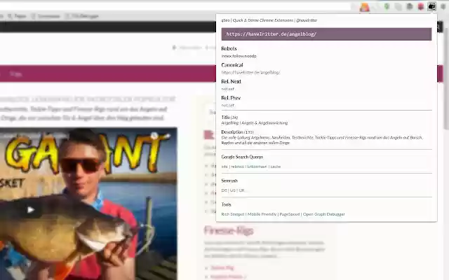 qSEO Meta SEO Site Tool from Chrome web store to be run with OffiDocs Chromium online qSEO Meta SEO Site Tool from Chrome web store to be run with OffiDocs Chromium online