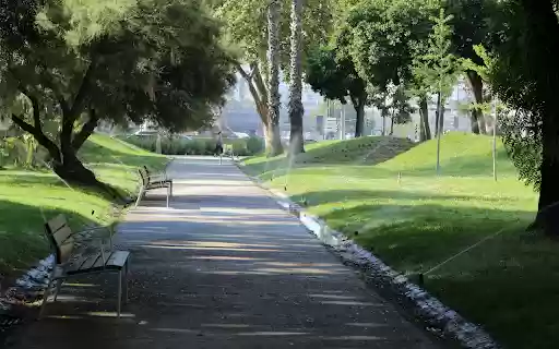 Rows of green park benches from Chrome web store to be run with OffiDocs Chromium online Rows of green park benches from Chrome web store to be run with OffiDocs Chromium online