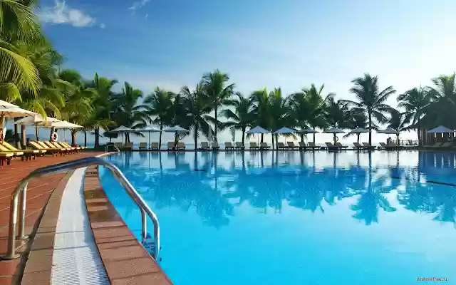 Swimming Pool from Chrome web store to be run with OffiDocs Chromium online Swimming Pool from Chrome web store to be run with OffiDocs Chromium online