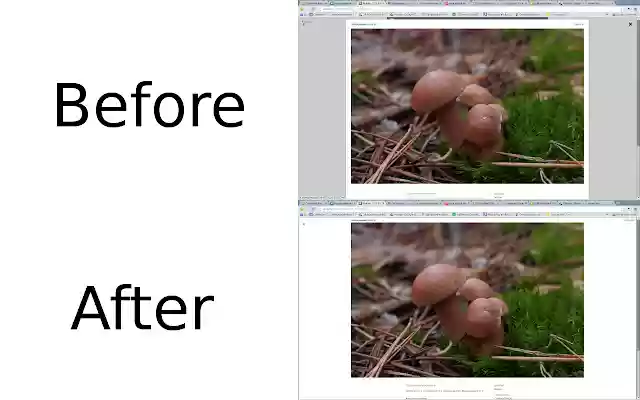 Vk Photo (nice pictures) from Chrome web store to be run with OffiDocs Chromium online Vk Photo (nice pictures) from Chrome web store to be run with OffiDocs Chromium online