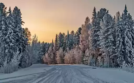Winter Forest Road from Chrome web store to be run with OffiDocs Chromium online Winter Forest Road from Chrome web store to be run with OffiDocs Chromium online