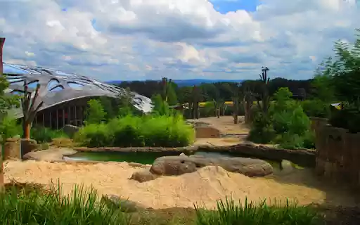 Zürich Zoo from Chrome web store to be run with OffiDocs Chromium online Zürich Zoo from Chrome web store to be run with OffiDocs Chromium online